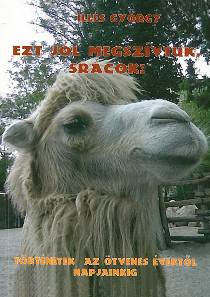 Ezt jól megszívtuk, srácok! könyv borító
