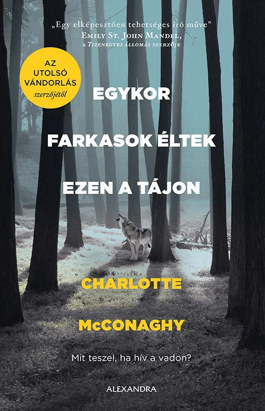 A hangoskönyv borítója