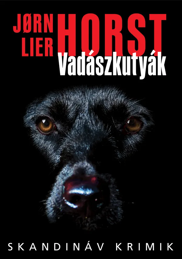 A hangoskönyv borítója