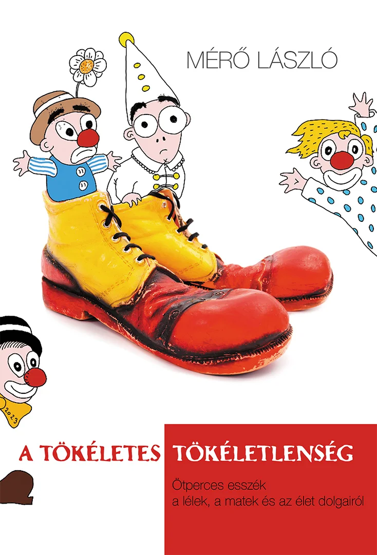 A tökéletes tökéletlenség - Hangoskönyv