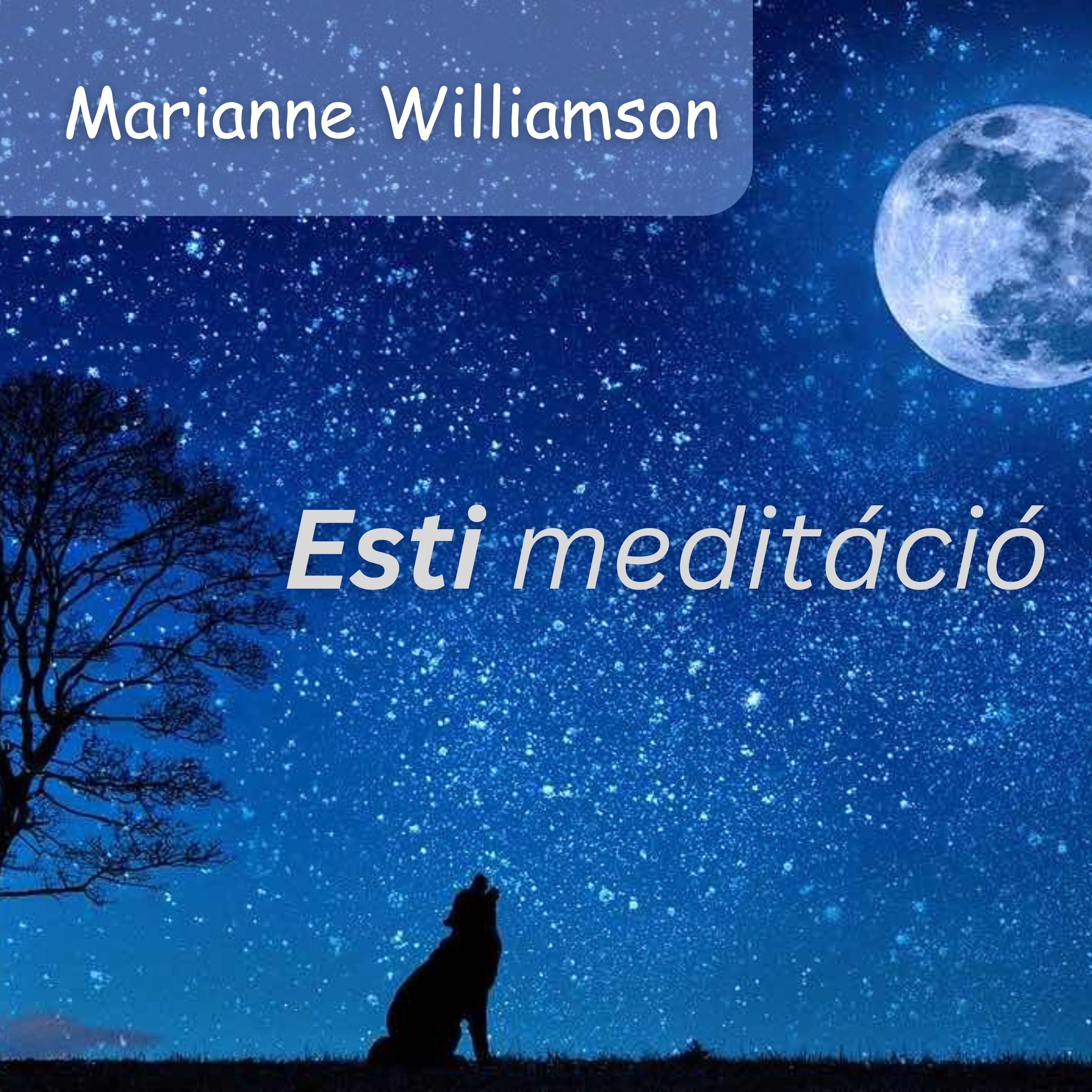 Esti meditáció könyv borító