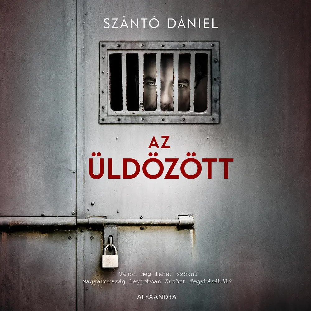 Az üldözött könyv borító