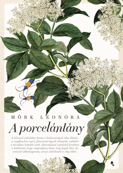 A porcelánlány könyv borító