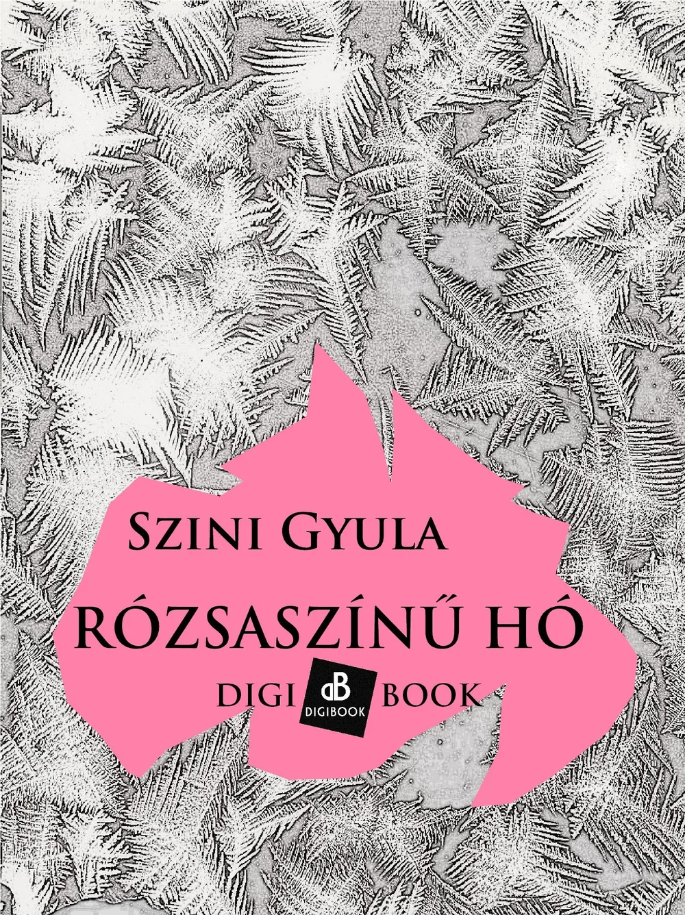 A hangoskönyv borítója