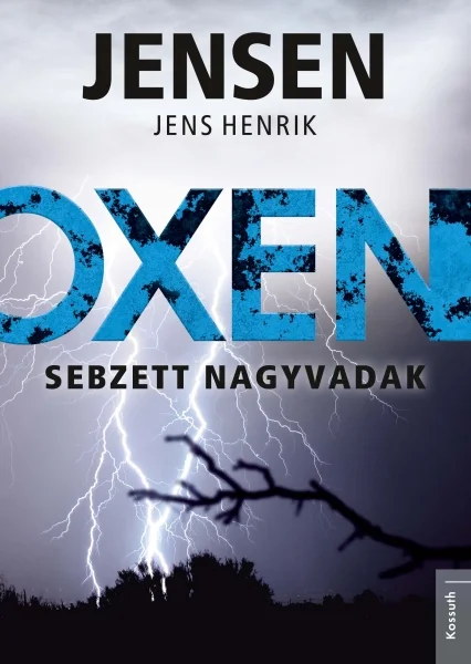 A hangoskönyv borítója