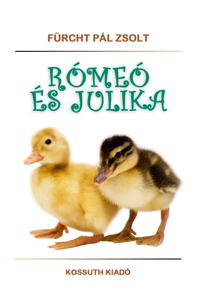 Rómeó és Julika könyv borító