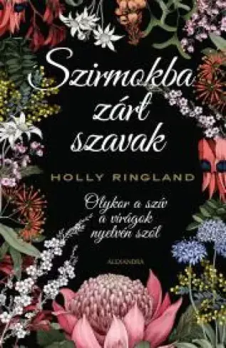 A hangoskönyv borítója
