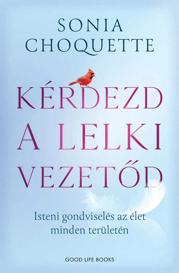 Kérdezd a lelki vezetőd könyv borító