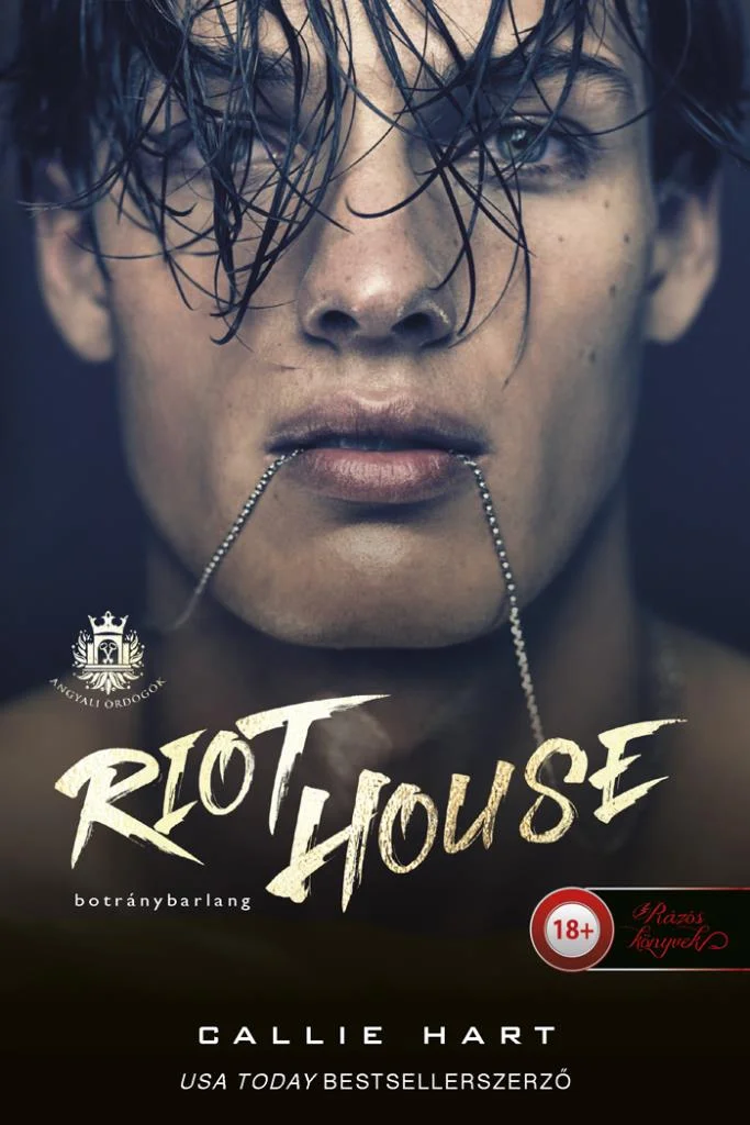 Riot House - Botránybarlang (Angyali ördögök 1.) könyv borító