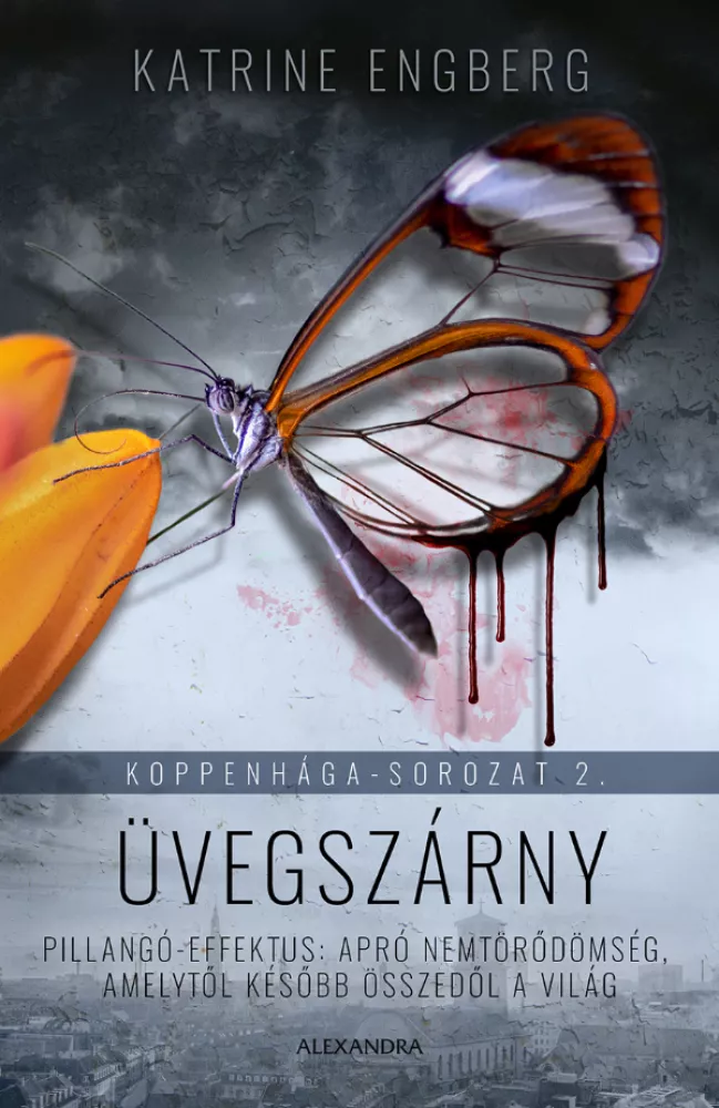 A hangoskönyv borítója