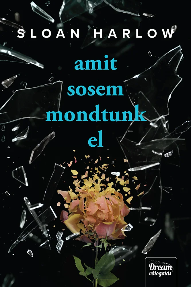 Amit sosem mondtunk el - Hangoskönyv