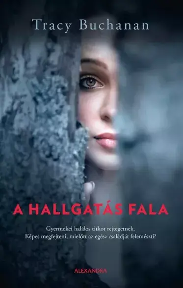 A hangoskönyv borítója