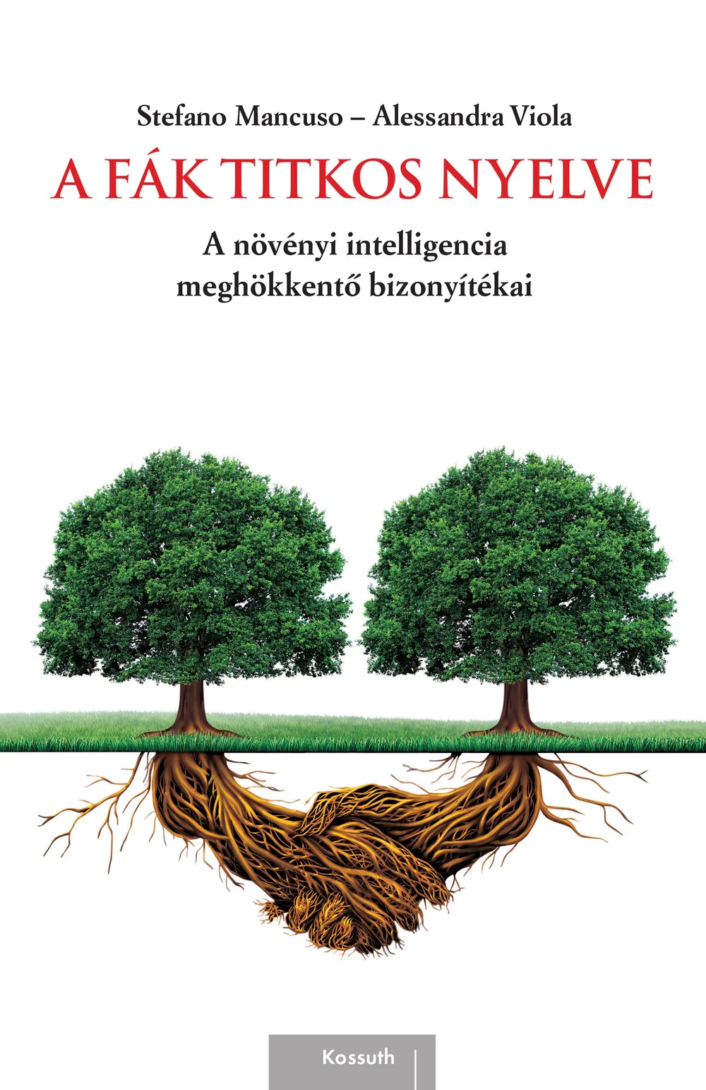 A hangoskönyv borítója