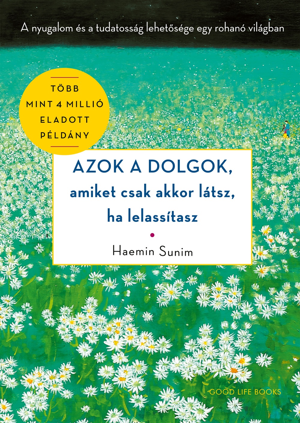 Azok a dolgok, amiket csak akkor látsz, ha lelassítasz könyv borító