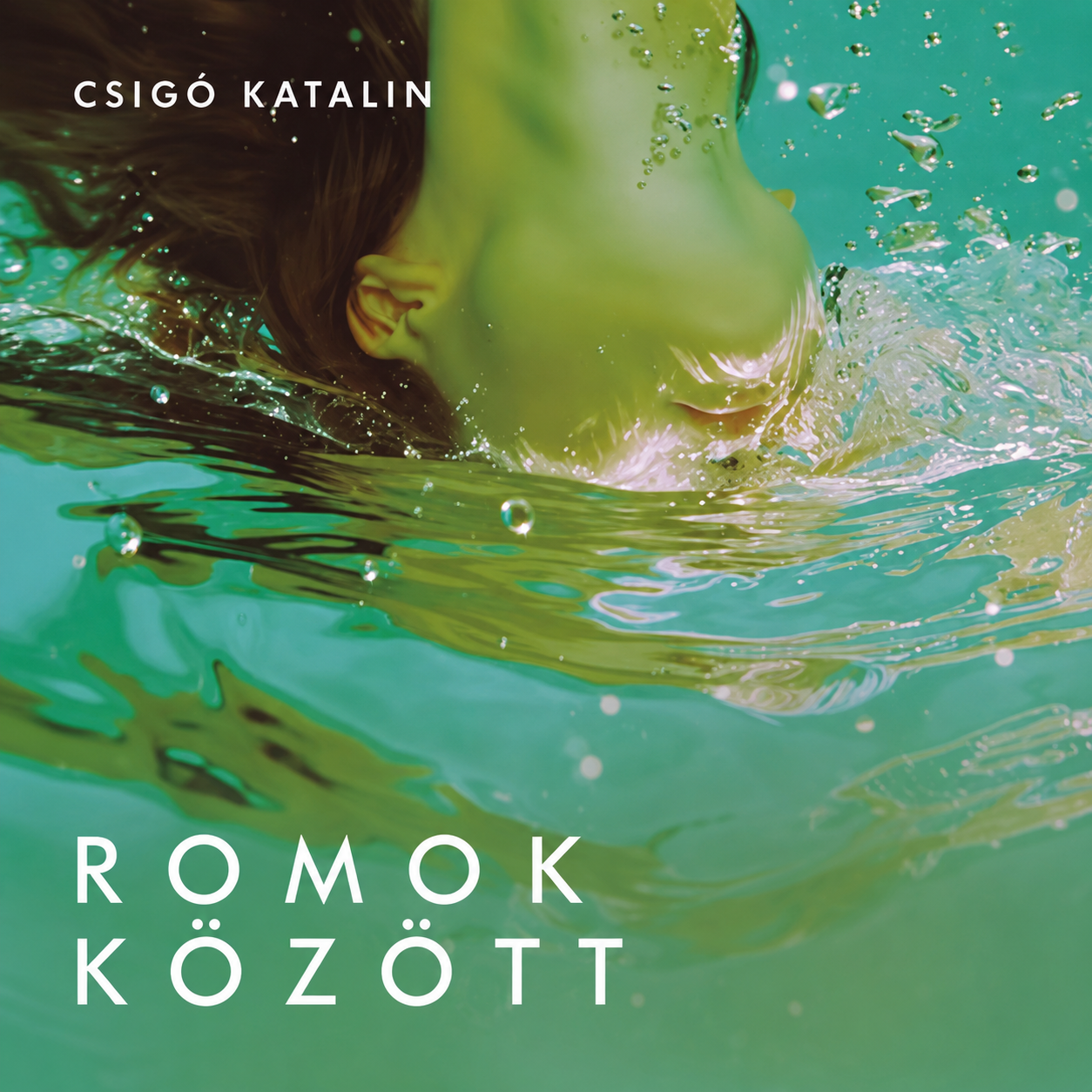 Romok között könyv borító