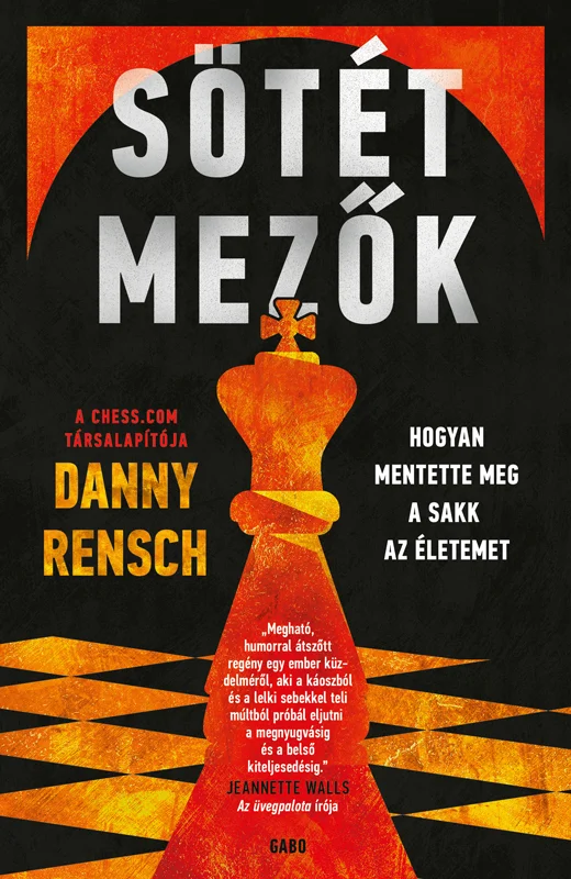 Sötét mezők könyv borító