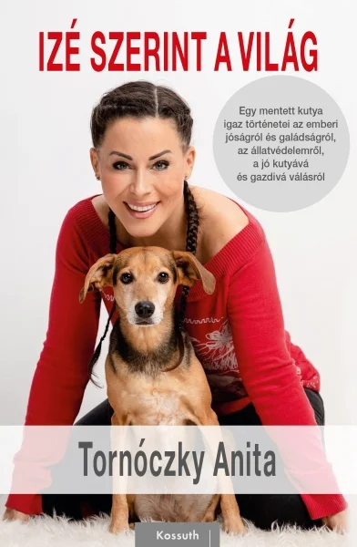 A hangoskönyv borítója