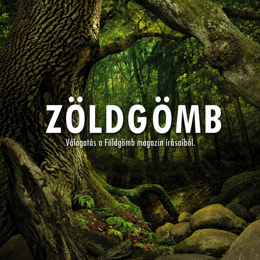 Zöldgömb - Hangoskönyv