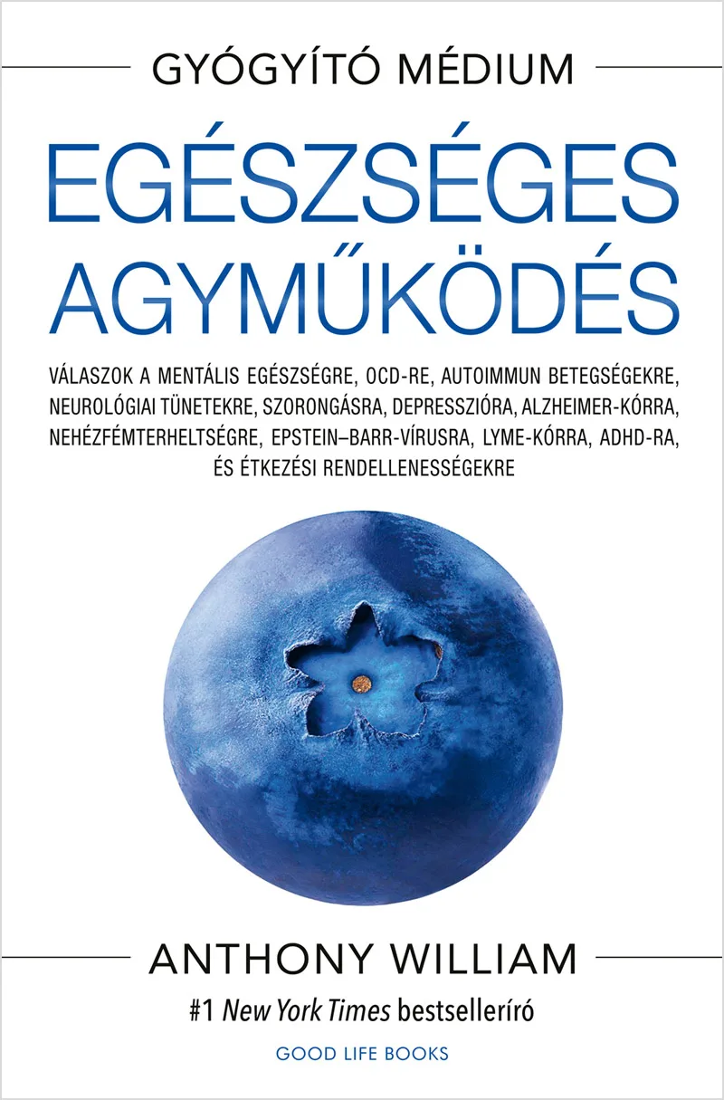 Egészséges agyműködés könyv borító