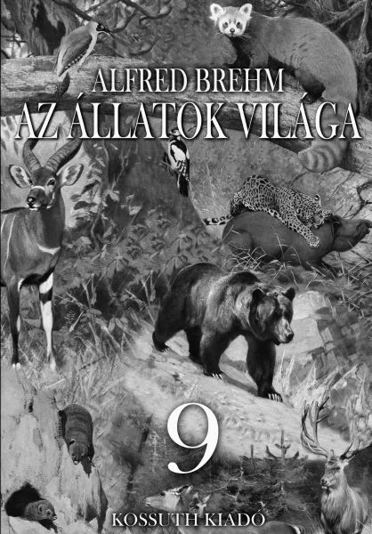 A hangoskönyv borítója