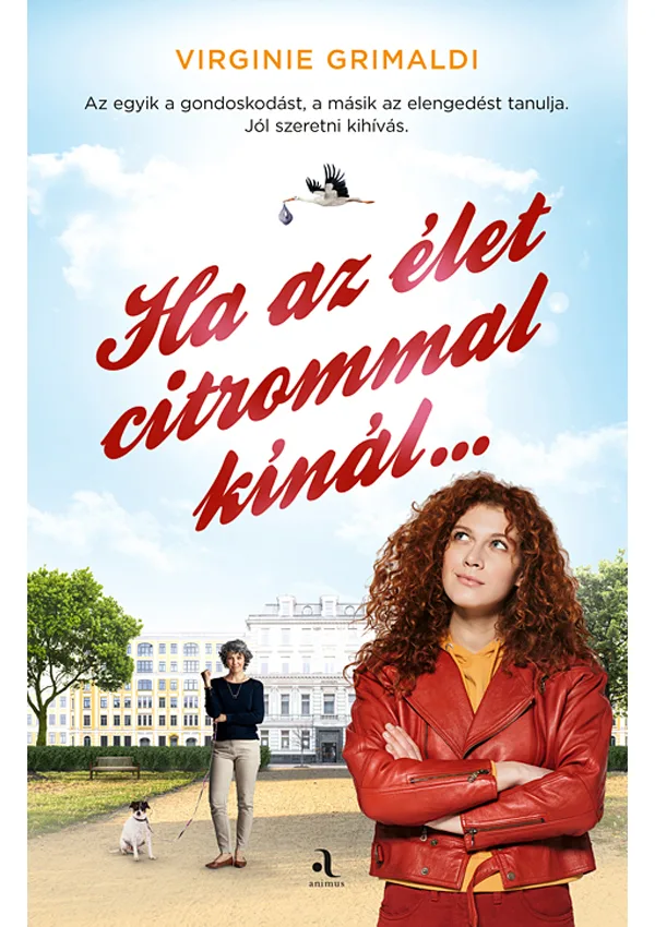 A hangoskönyv borítója
