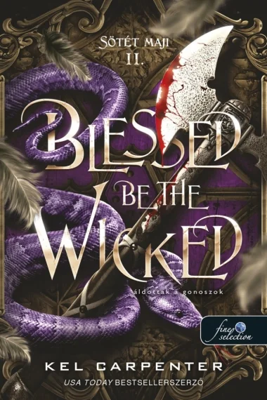 Blessed be the Wicked - Áldottak a gonoszok (Sötét Maji 2.) könyv borító
