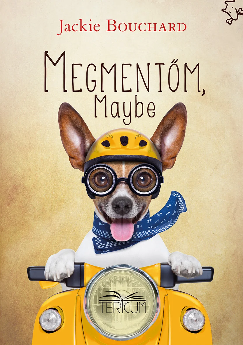 Megmentőm Maybe - Hangoskönyv