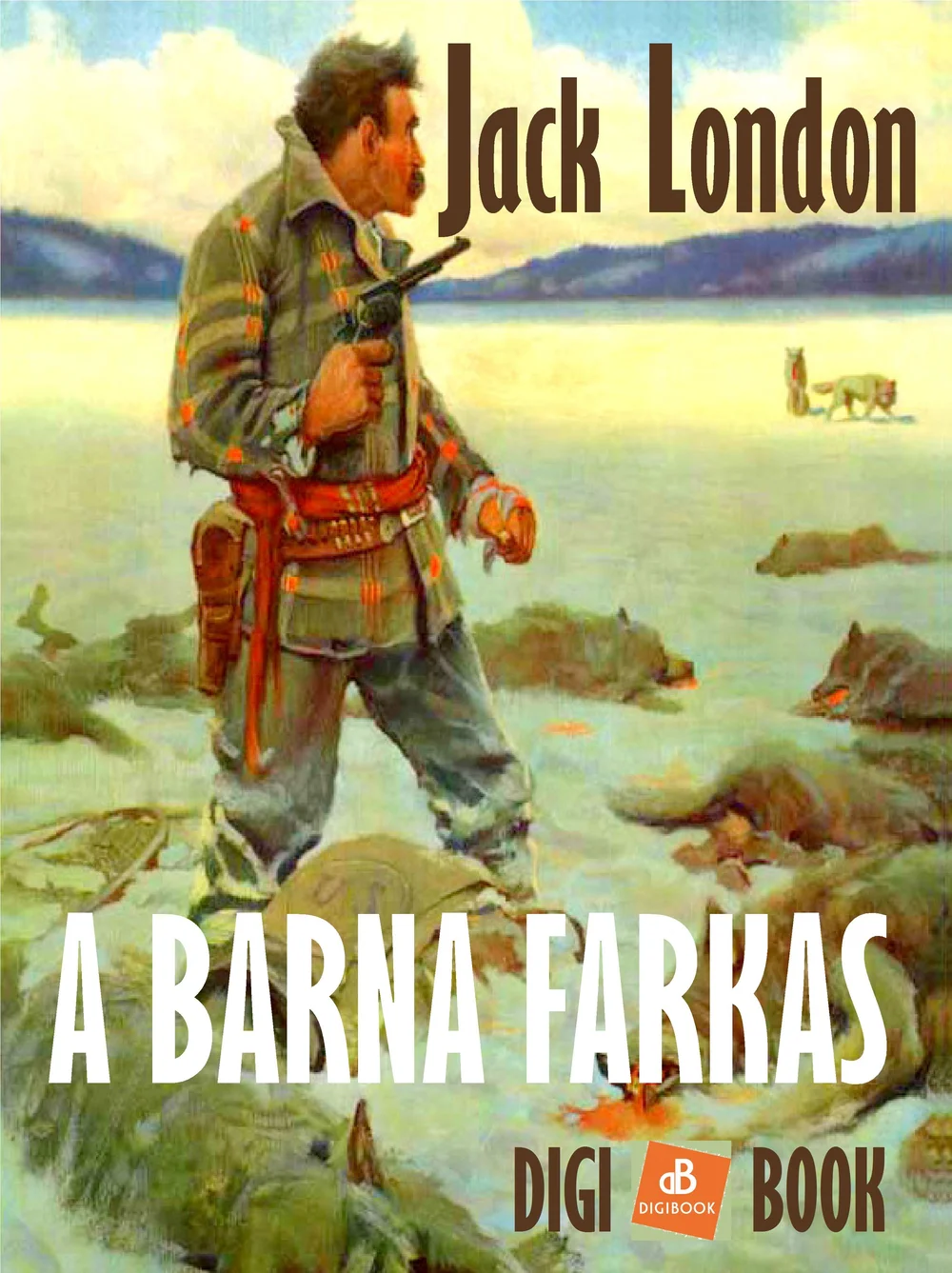 A hangoskönyv borítója