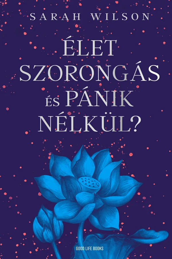 A hangoskönyv borítója