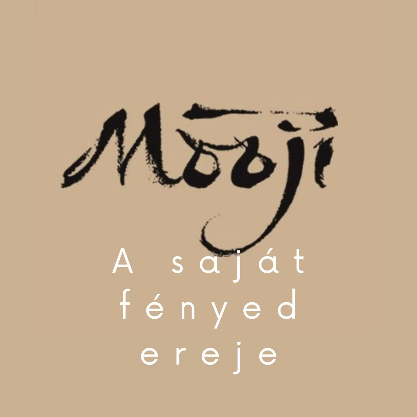 A hangoskönyv borítója