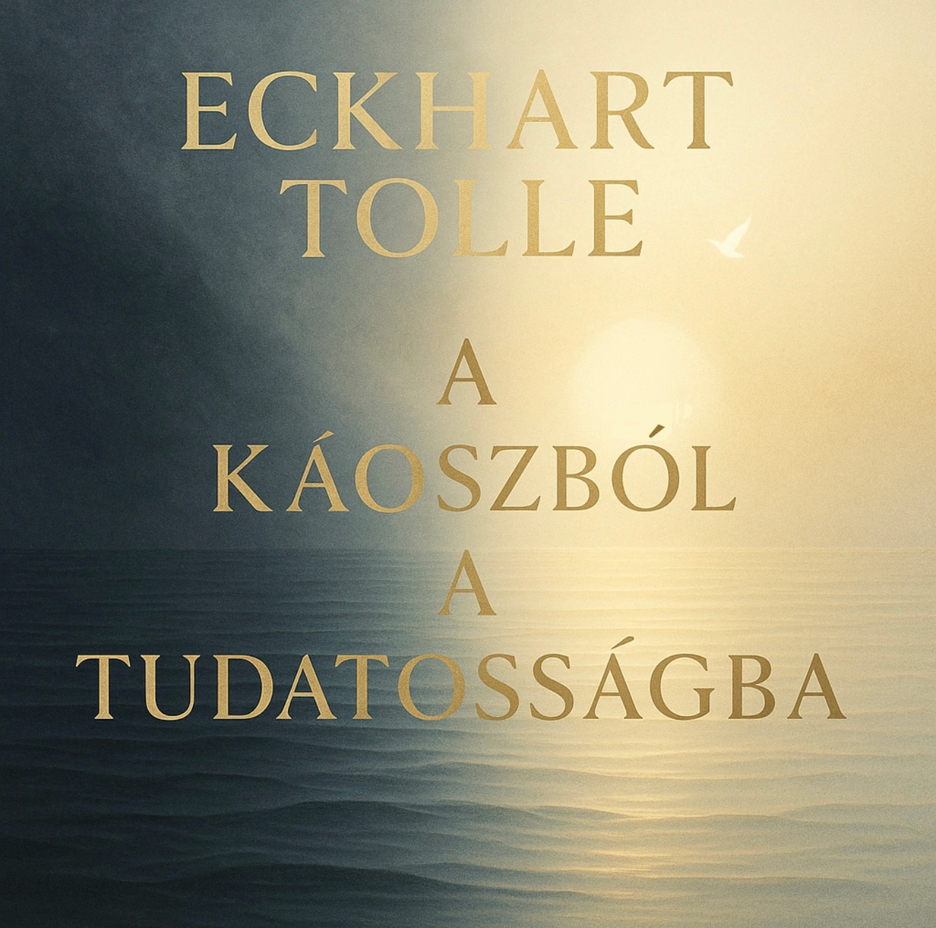 A káoszból a tudatosságba  könyv borító