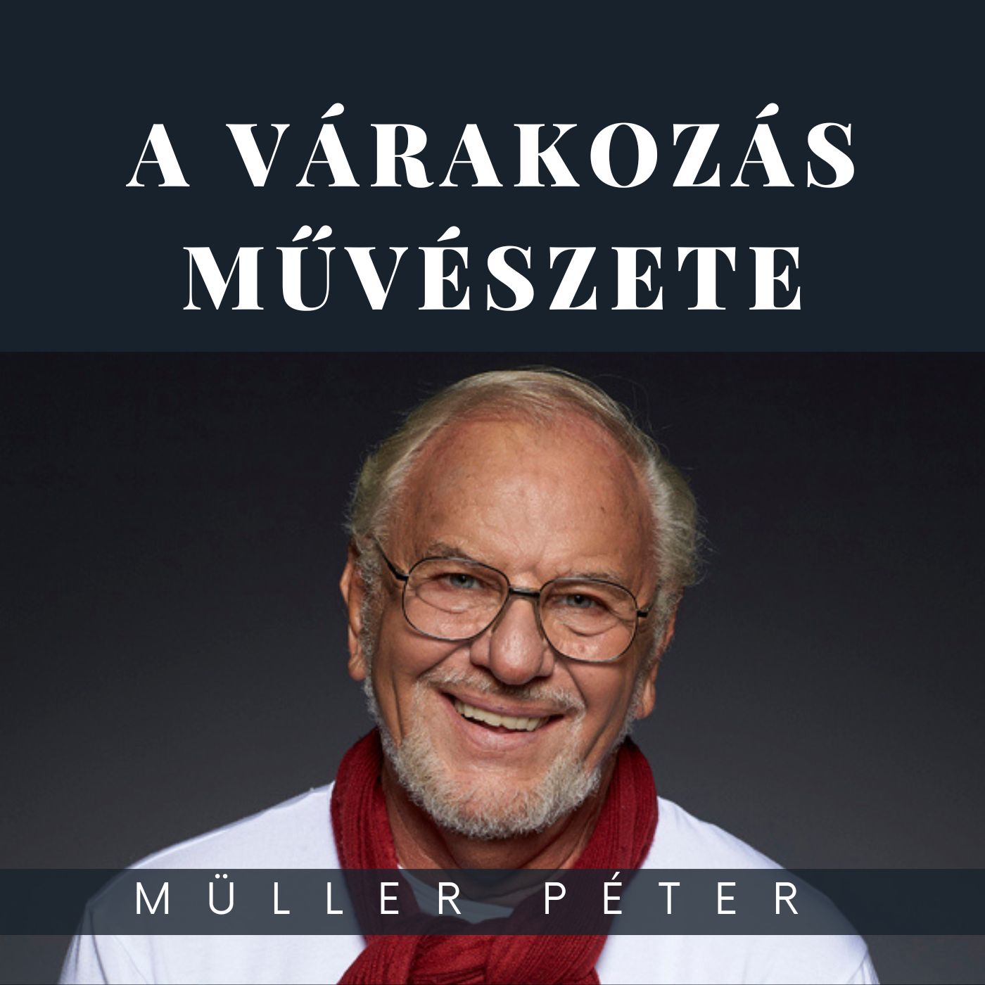 A várakozás művészete könyv borító