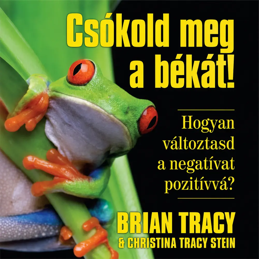 A hangoskönyv borítója