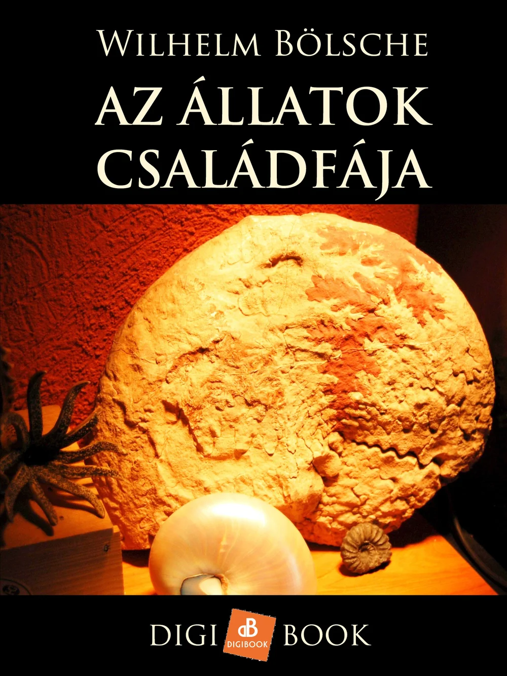 A hangoskönyv borítója