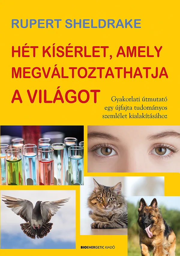 A hangoskönyv borítója