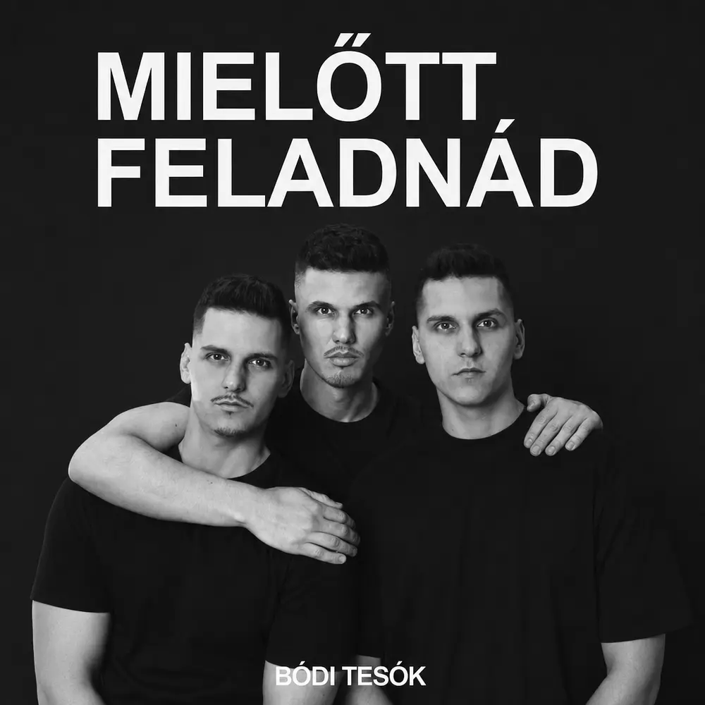 Mielőtt feladnád - Hangoskönyv