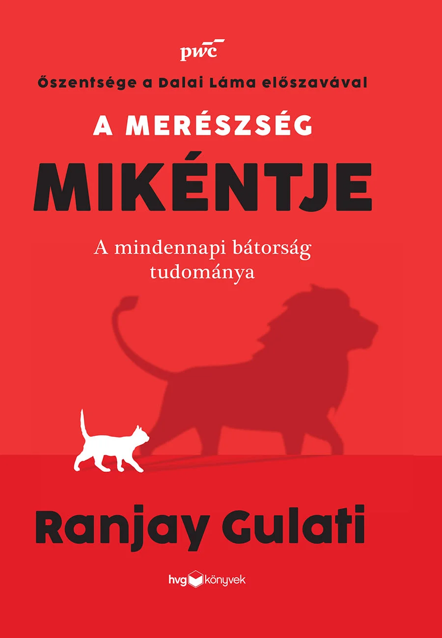 A hangoskönyv borítója