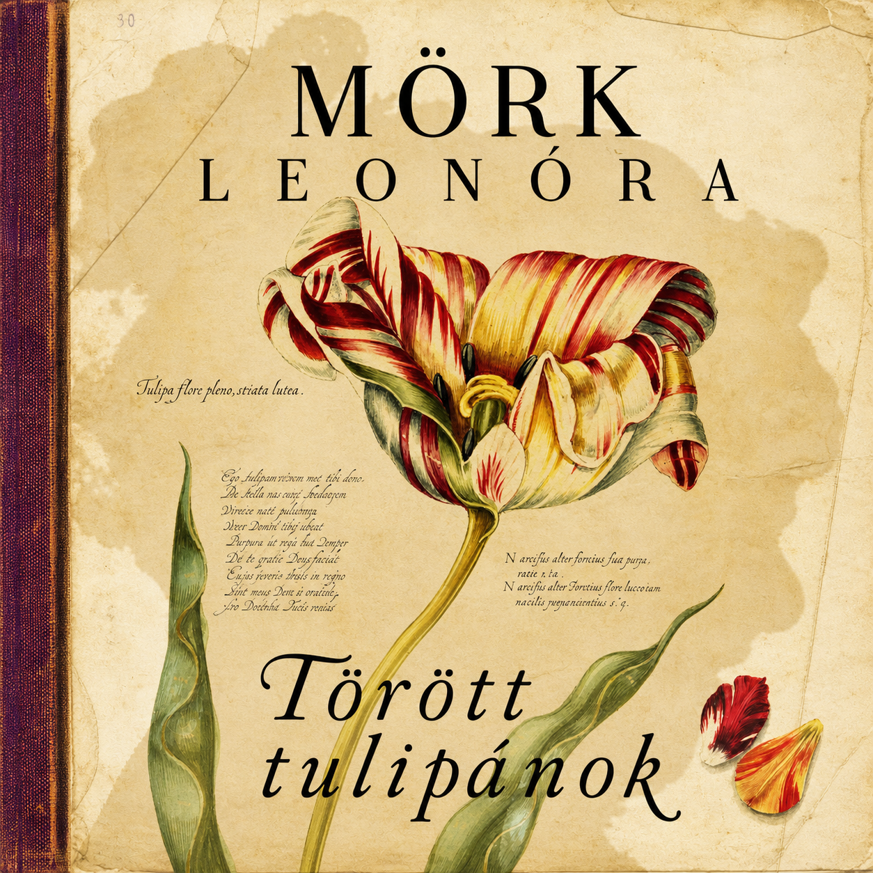 Törött tulipánok - Hangoskönyv