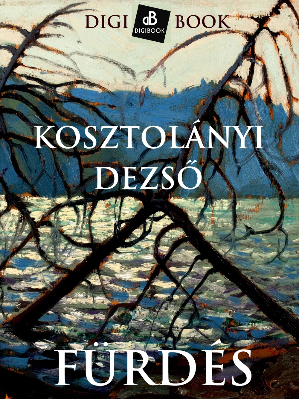 A hangoskönyv borítója