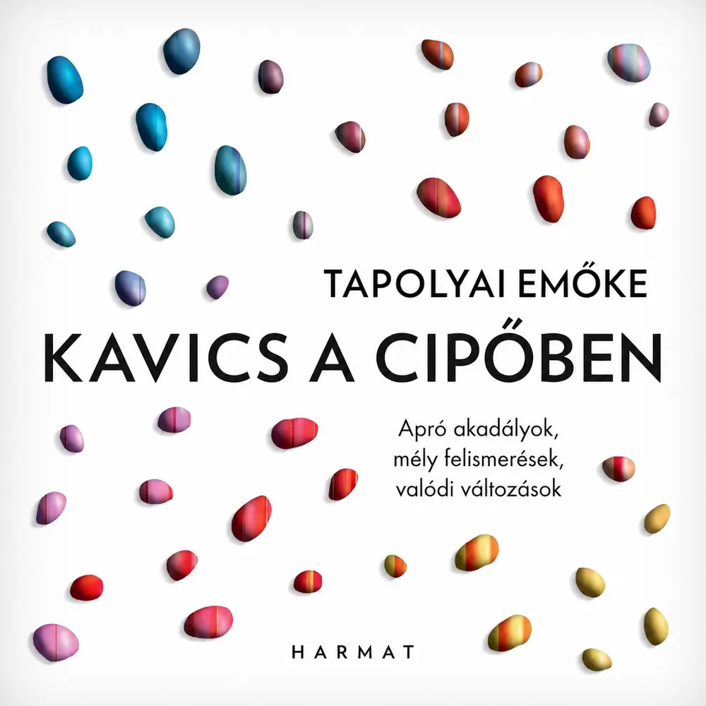 Kavics a cipőben könyv borító