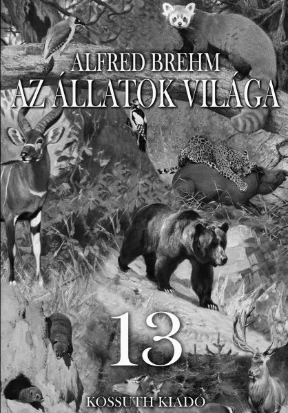 A hangoskönyv borítója