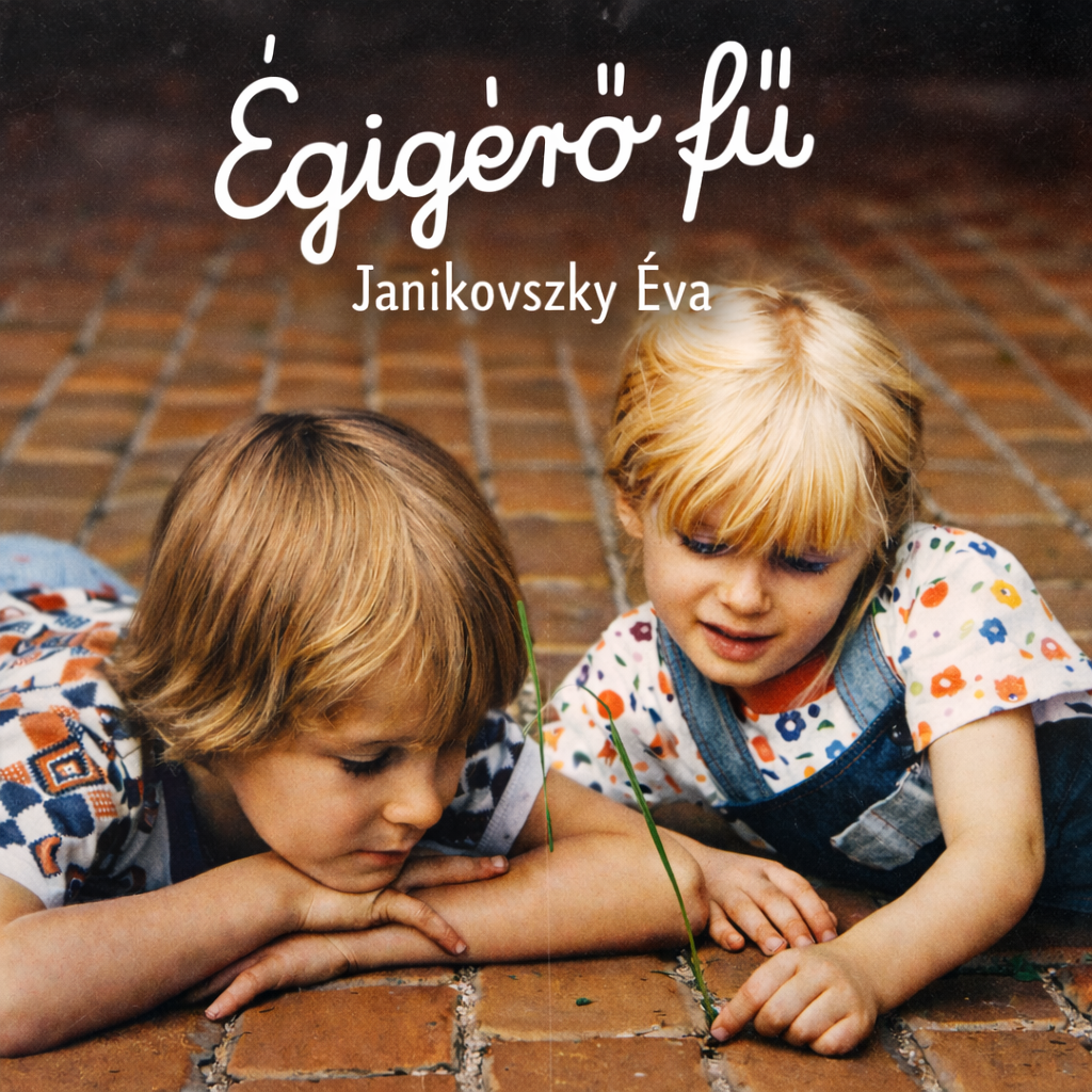 A hangoskönyv borítója