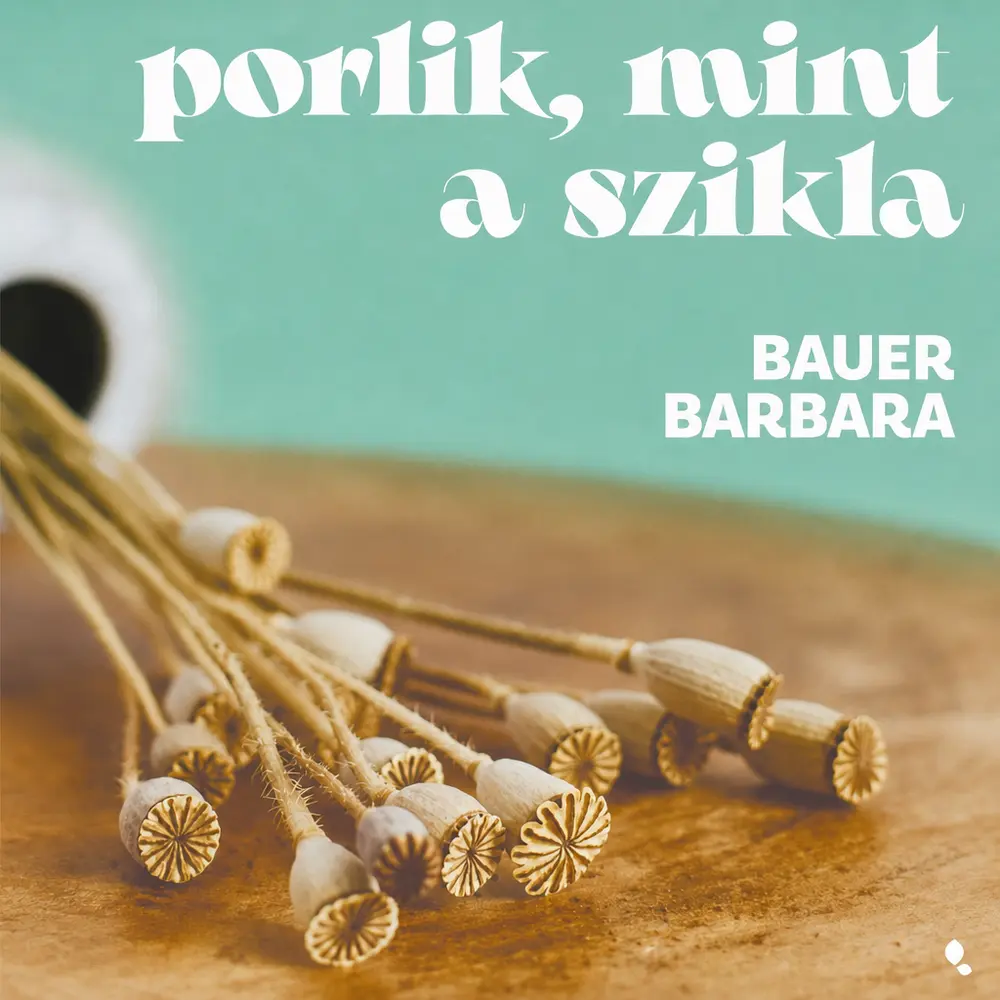 A hangoskönyv borítója