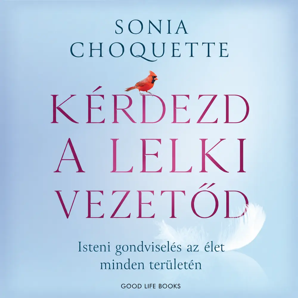 Kérdezd a lelki vezetőd - Hangoskönyv