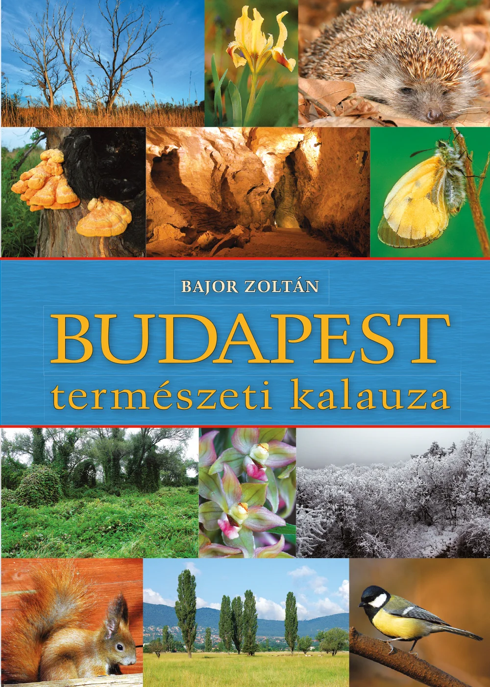 A hangoskönyv borítója