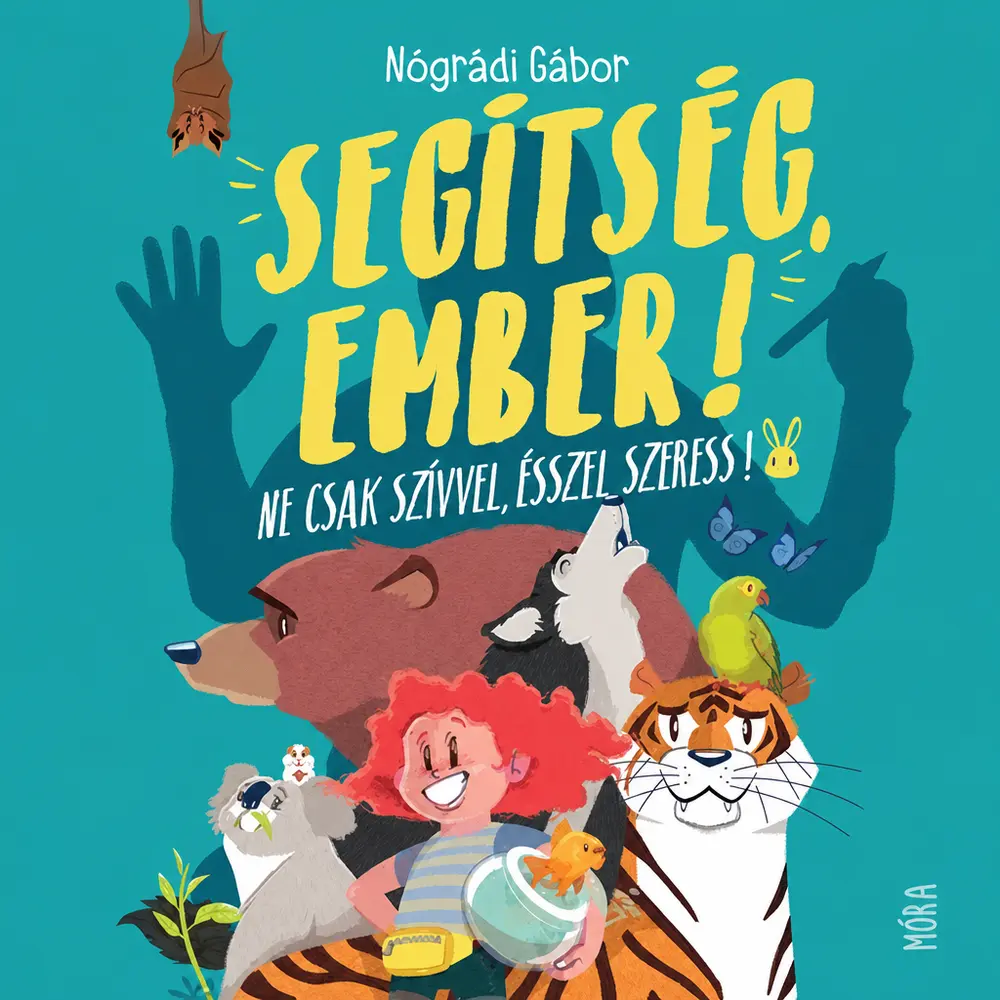 A hangoskönyv borítója