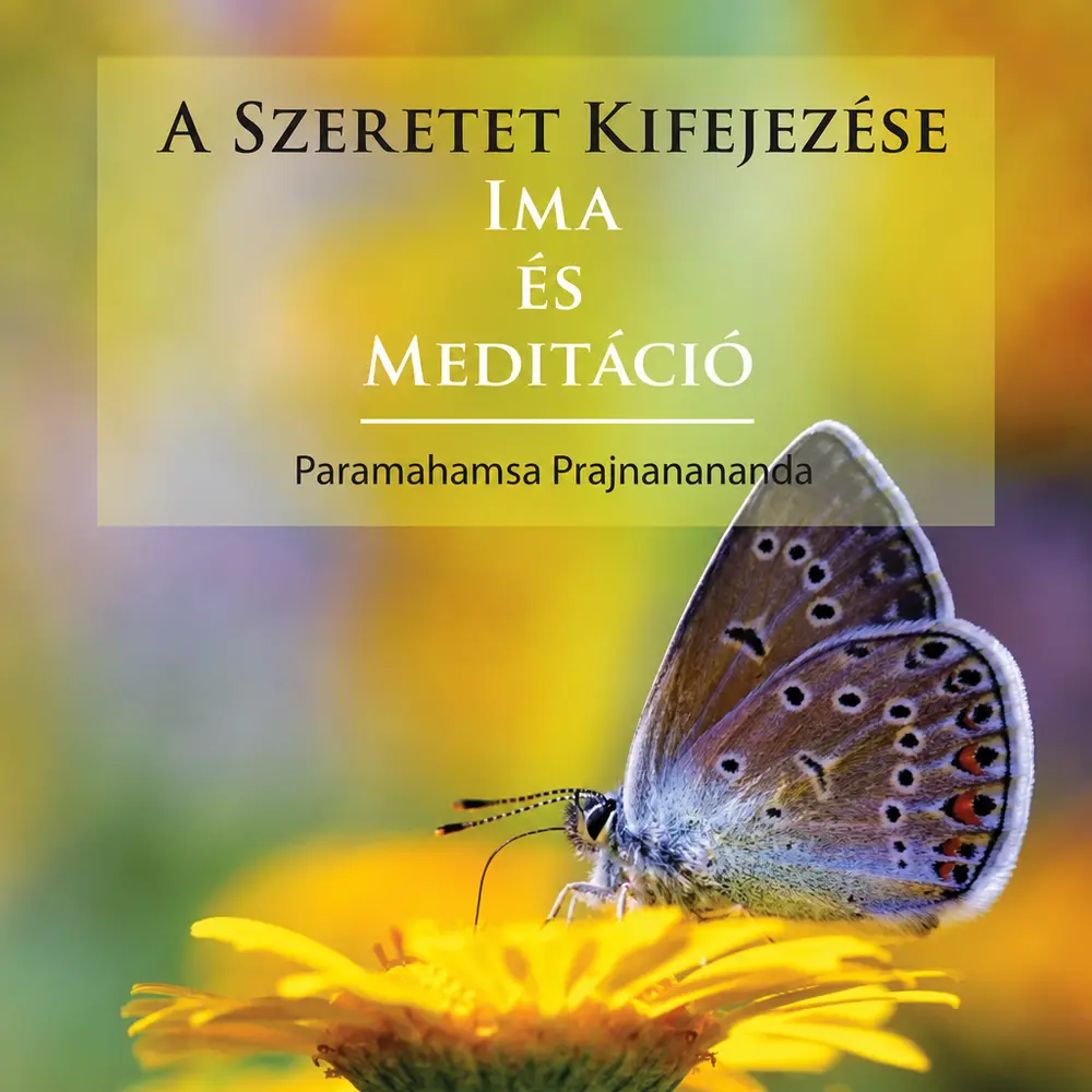 A szeretet kifejezése - Hangoskönyv