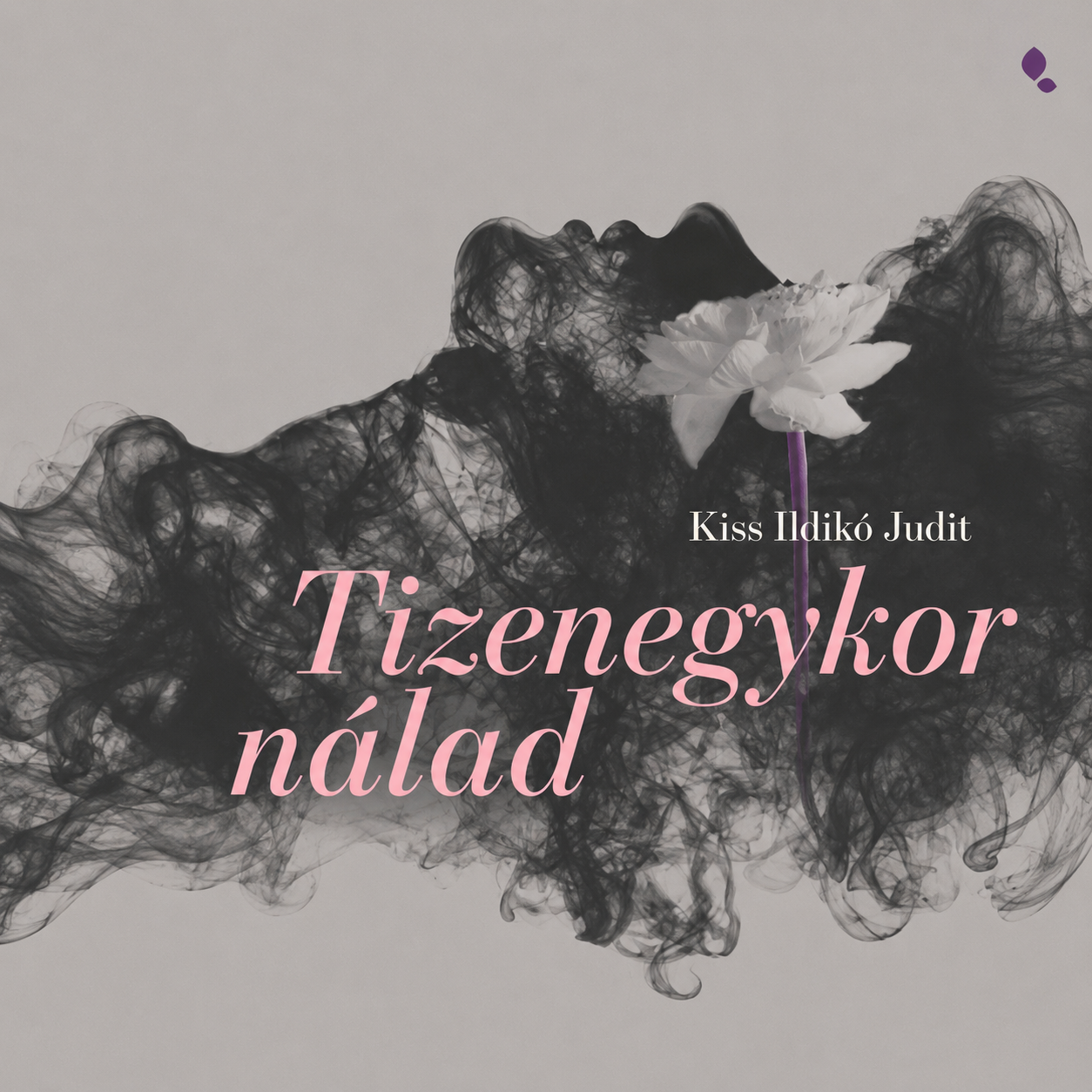 Tizenegykor nálad könyv borító