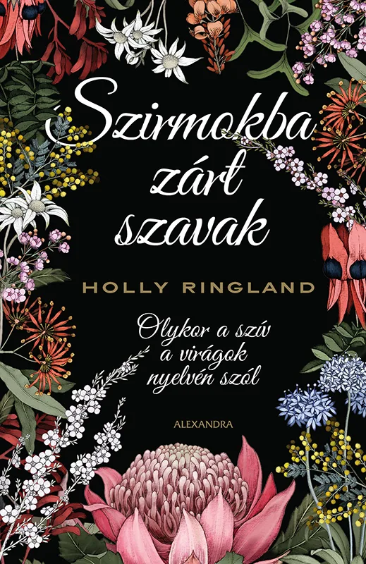 A hangoskönyv borítója