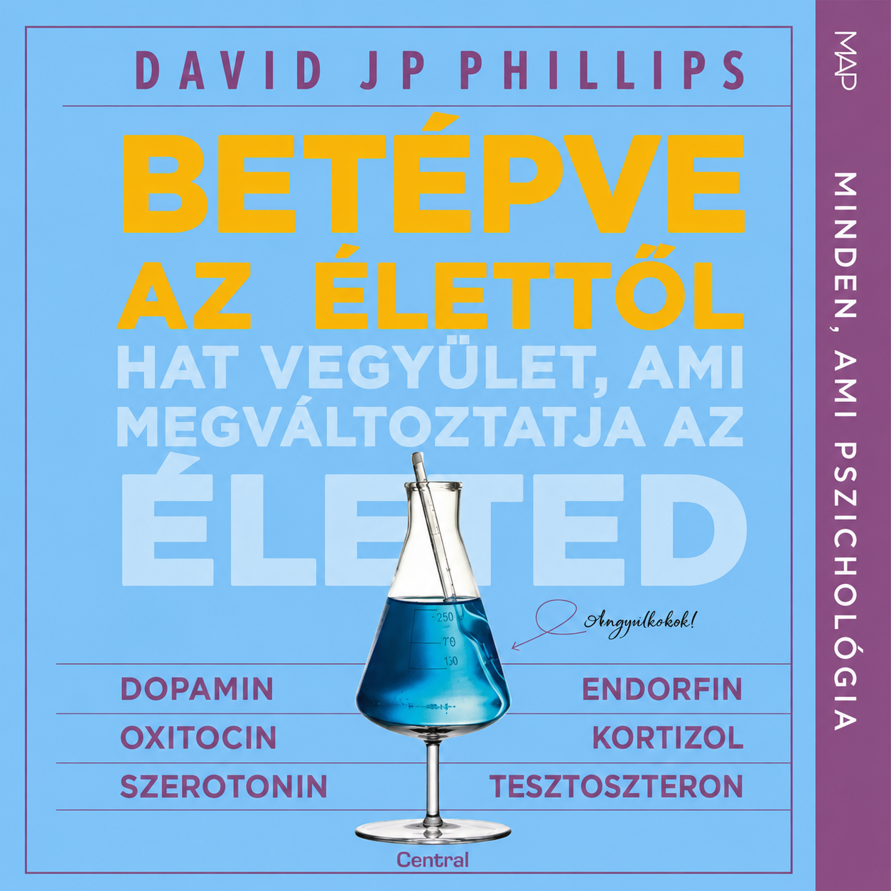 Betépve az élettől könyv borító